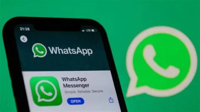 手机相册总被占满?一招搞定WhatsApp自动存照片