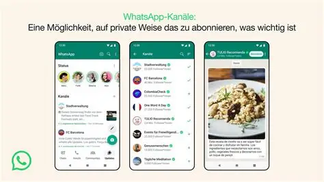 WhatsApp电脑登录必须开手机?这些情况可以离线用