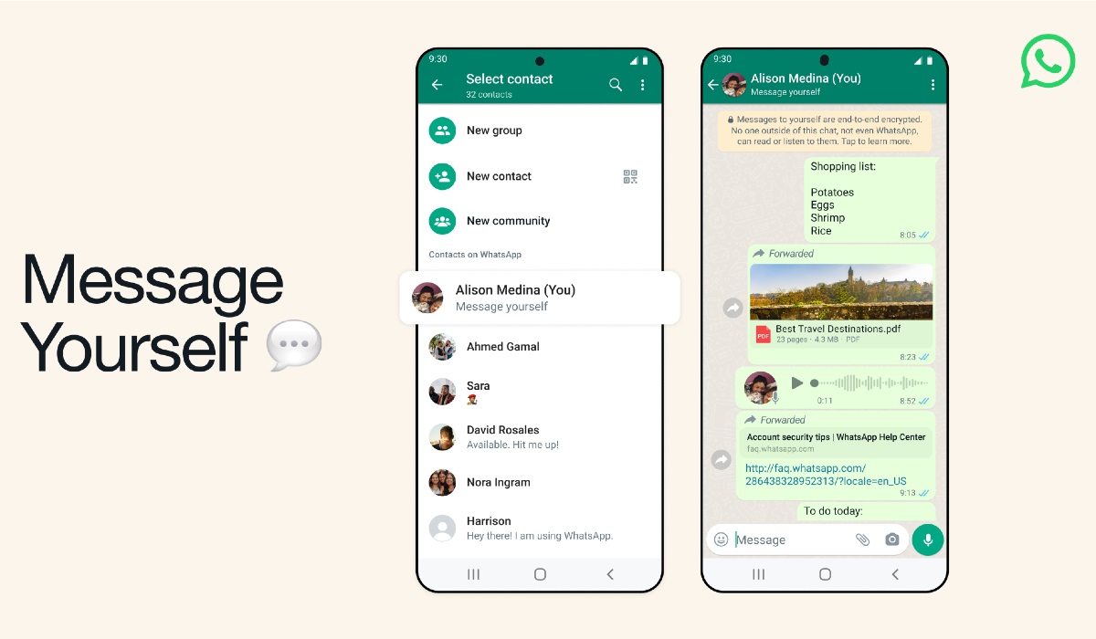 WhatsApp照片总存不进相册?三招搞定自动备份